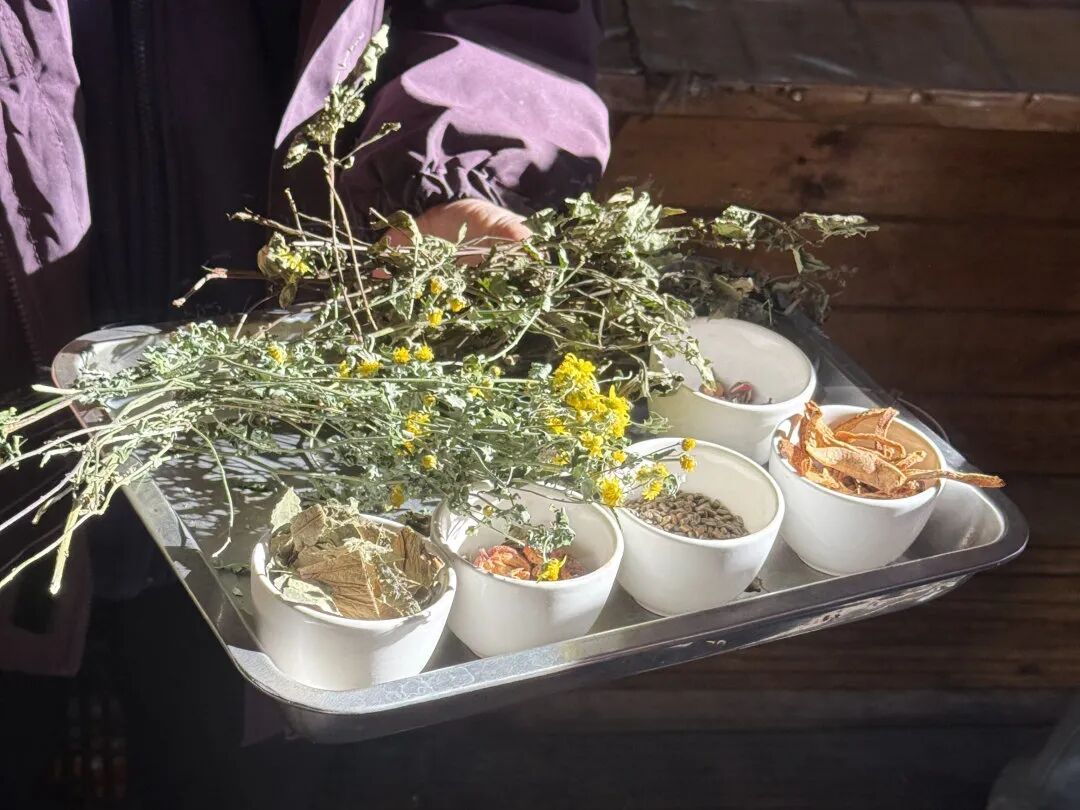 神农山“10元管饱”冲上热搜! 神农山“10元管饱”冲上热搜!