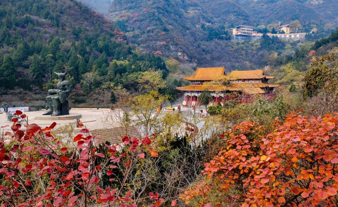 神农山“10元管饱”冲上热搜! 神农山“10元管饱”冲上热搜!