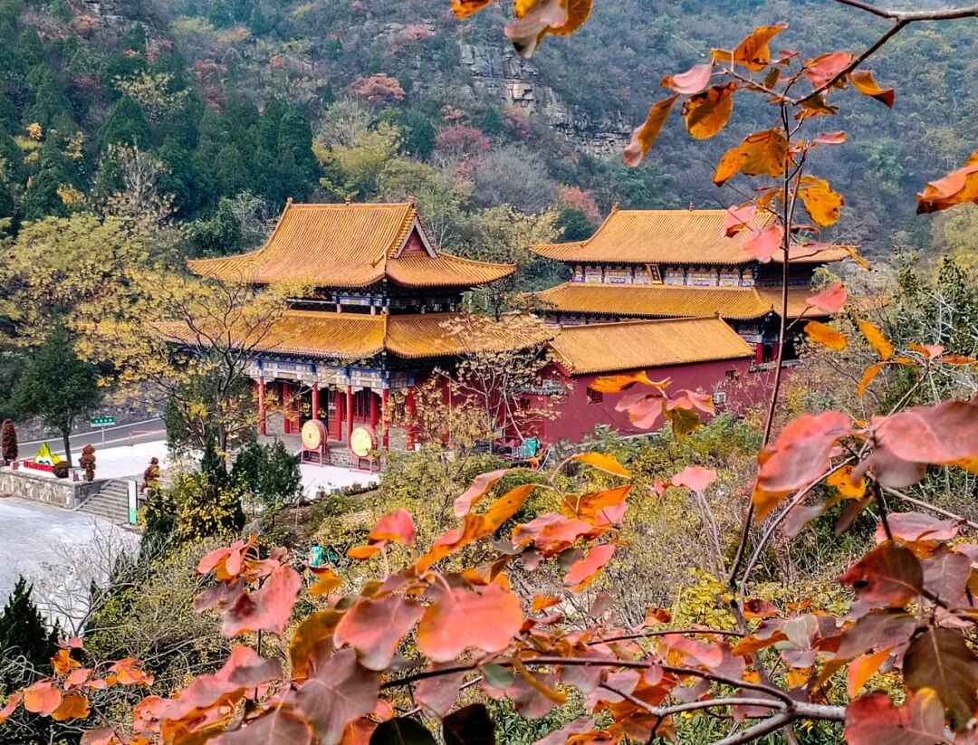 神农山“10元管饱”冲上热搜! 神农山“10元管饱”冲上热搜!