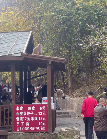 神农山“10元管饱”冲上热搜! 神农山“10元管饱”冲上热搜!