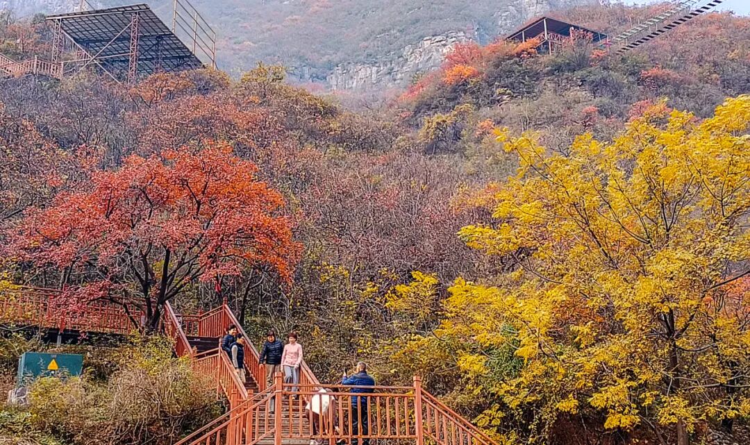 神农山“10元管饱”冲上热搜! 神农山“10元管饱”冲上热搜!