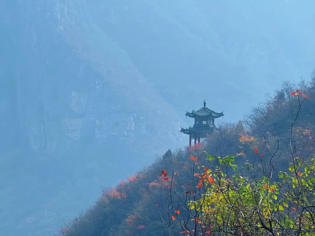 神农山“10元管饱”冲上热搜! 神农山“10元管饱”冲上热搜!