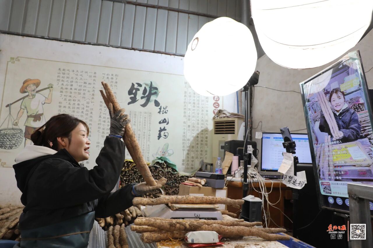 焦作一根山药撬动30亿元产业！