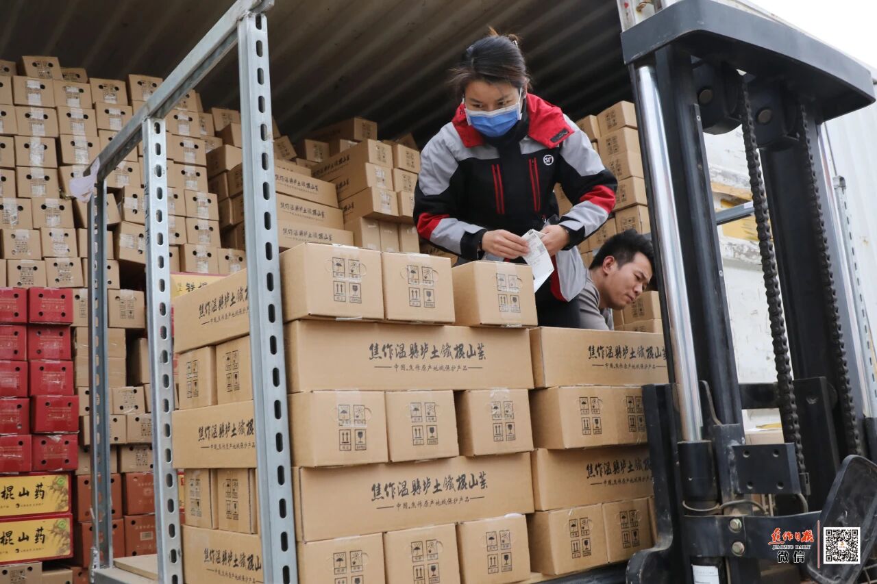 焦作一根山药撬动30亿元产业！