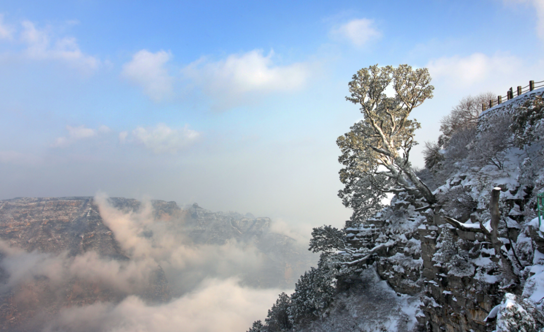 焦作家门口的“九州奇观”！29.9元打卡太行冬景！