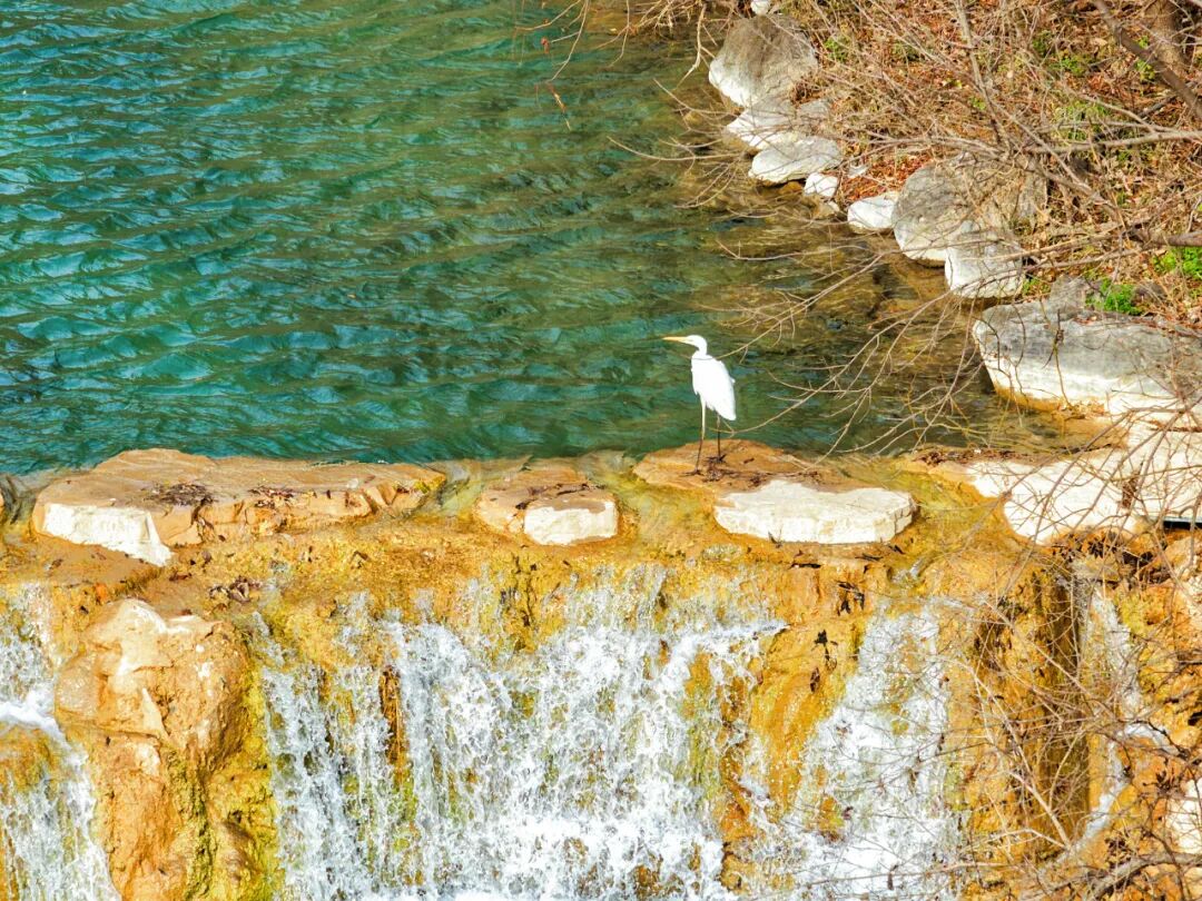 这里有6亿多年前的桃花水母！
