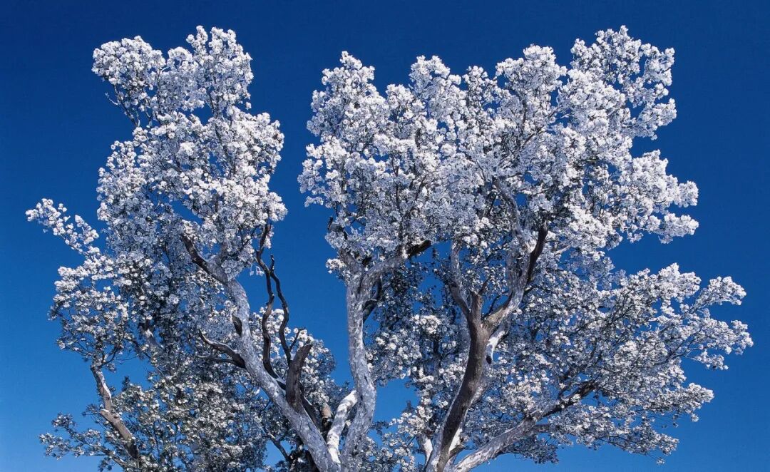 焦作家门口的“九州奇观”！29.9元打卡太行冬景！