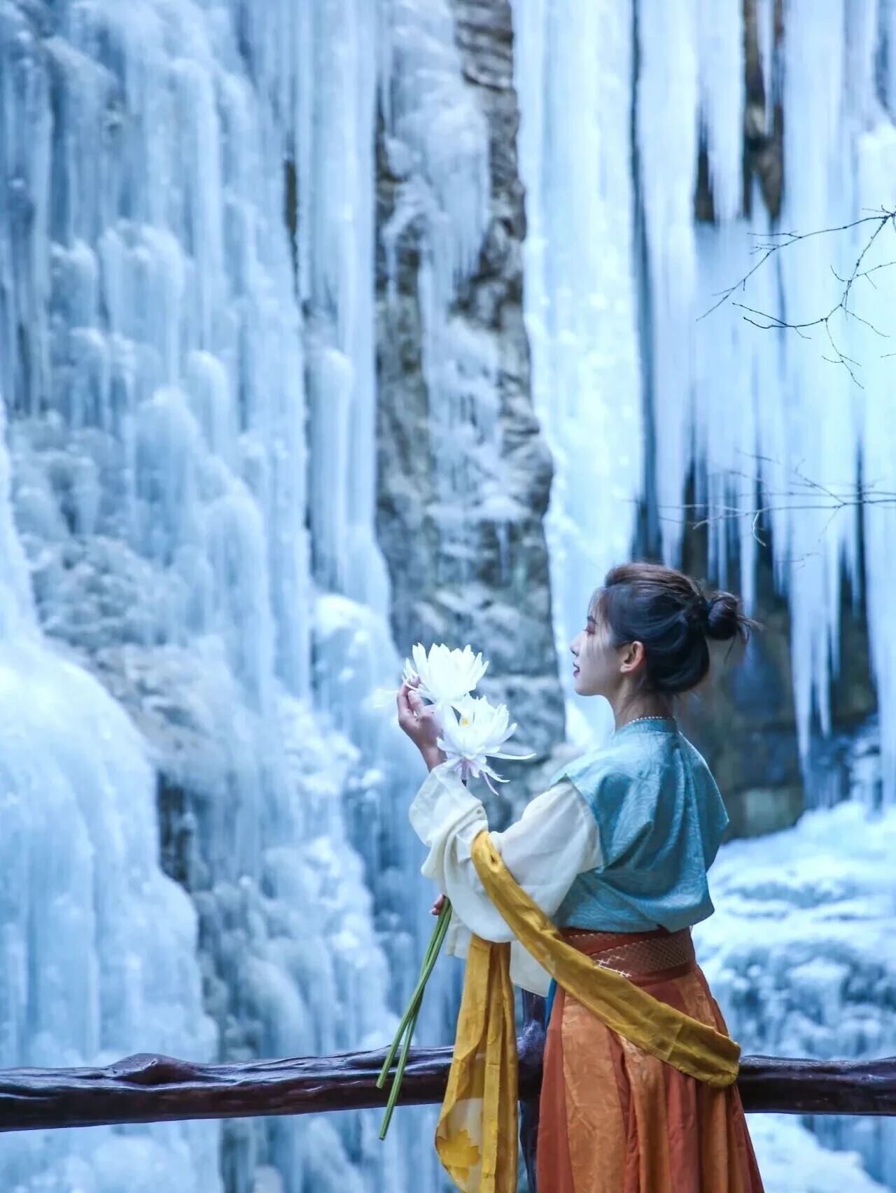 半价实地观影“焦作版冰雪奇缘”！