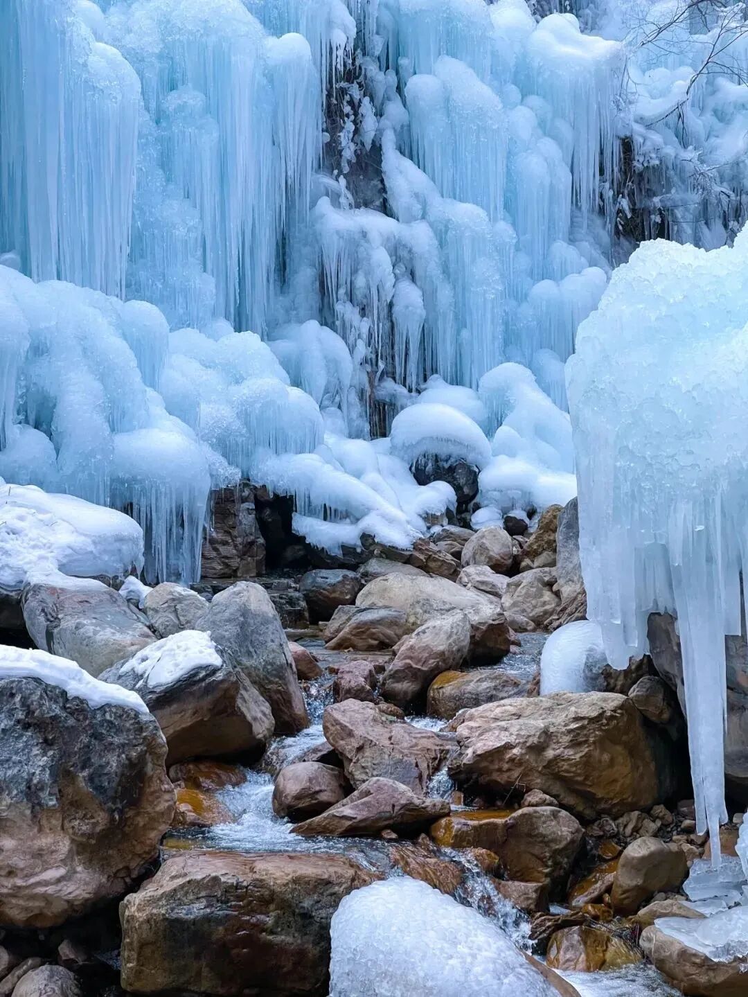半价实地观影“焦作版冰雪奇缘”！