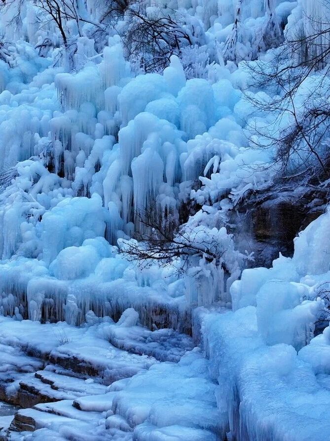 半价实地观影“焦作版冰雪奇缘”！