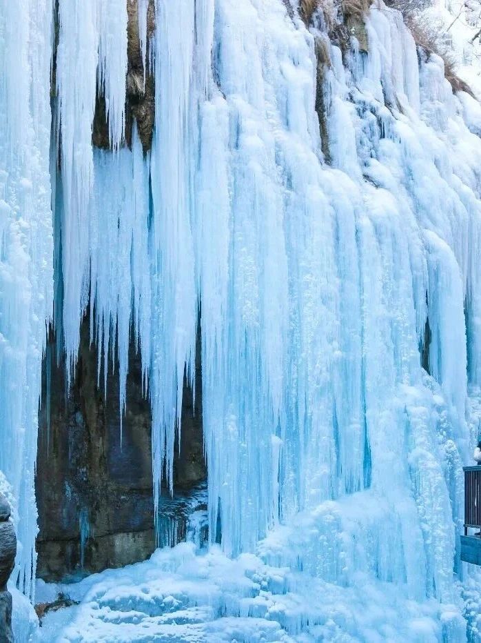 半价实地观影“焦作版冰雪奇缘”！