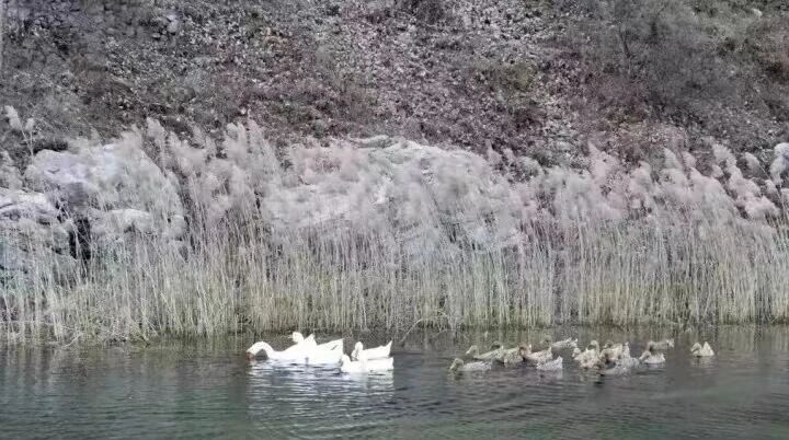 逛逛焦作大运河！不一样的Citywalk！