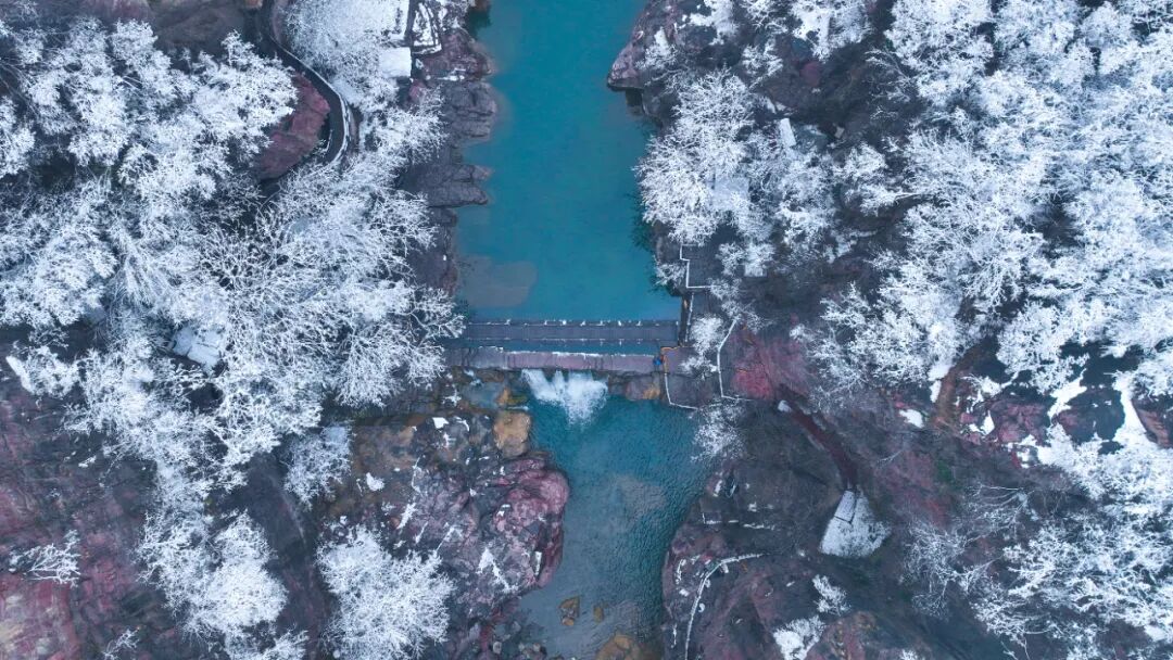 美哭了！云台山下雪大片！