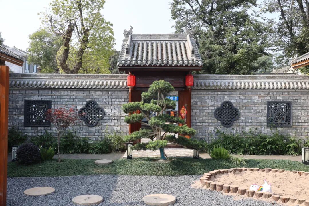 陈家沟开启元旦秀！这里的太极拳不仅仅是太极拳——