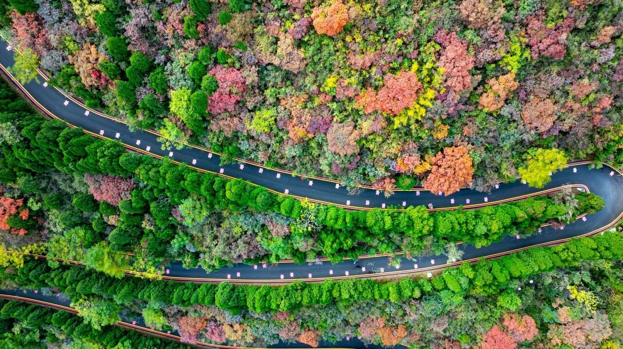 看美景更高速!从这里到神农山仅需3分钟! 看美景更高速!从这里到神农山仅需3分钟!