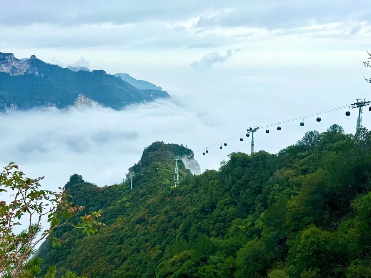 看美景更高速!从这里到神农山仅需3分钟! 看美景更高速!从这里到神农山仅需3分钟!