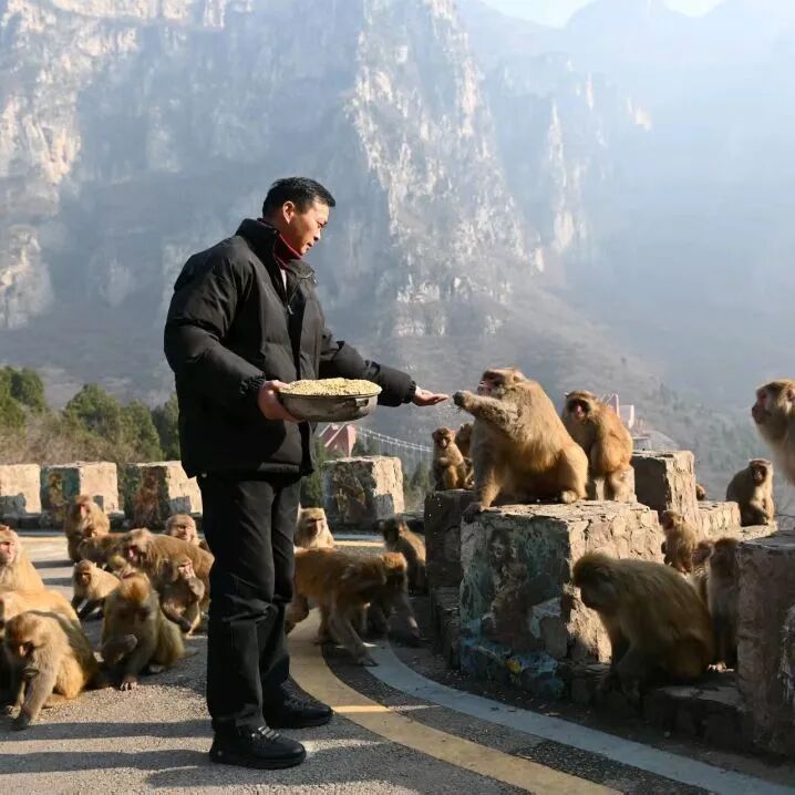 凭过路费票根,神农山免门票! 凭过路费票根,神农山免门票!