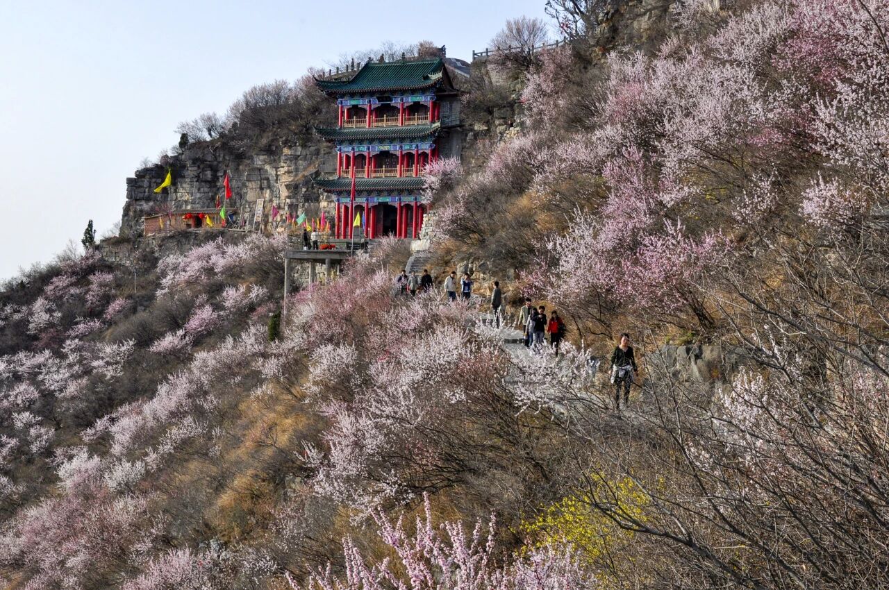 低至39元!一张年票逛神农山春夏秋冬!