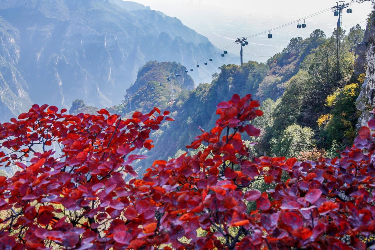 低至39元!一张年票逛神农山春夏秋冬!