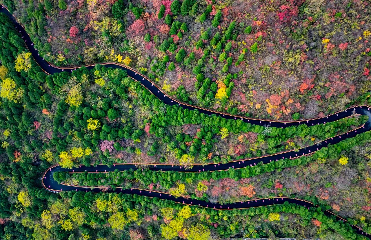 低至39元!一张年票逛神农山春夏秋冬!