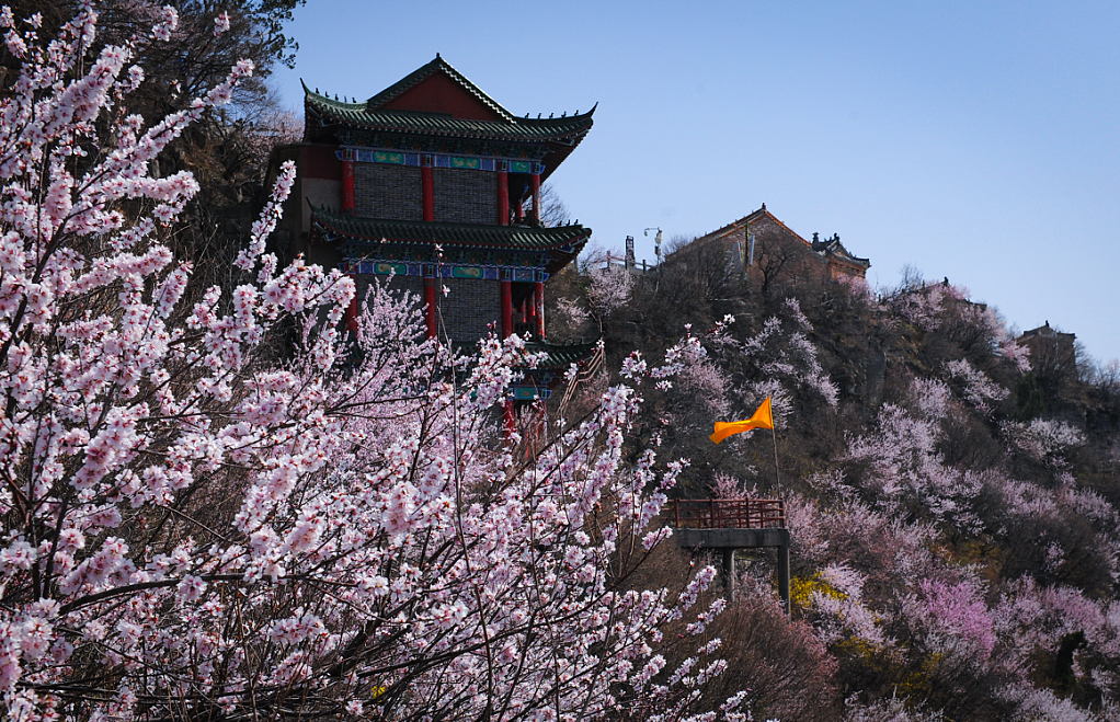低至39元!一张年票逛神农山春夏秋冬!
