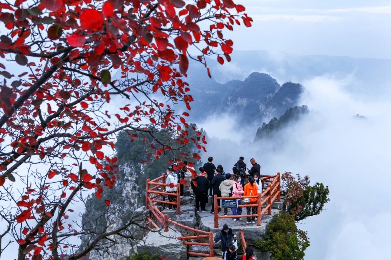 低至39元!一张年票逛神农山春夏秋冬!