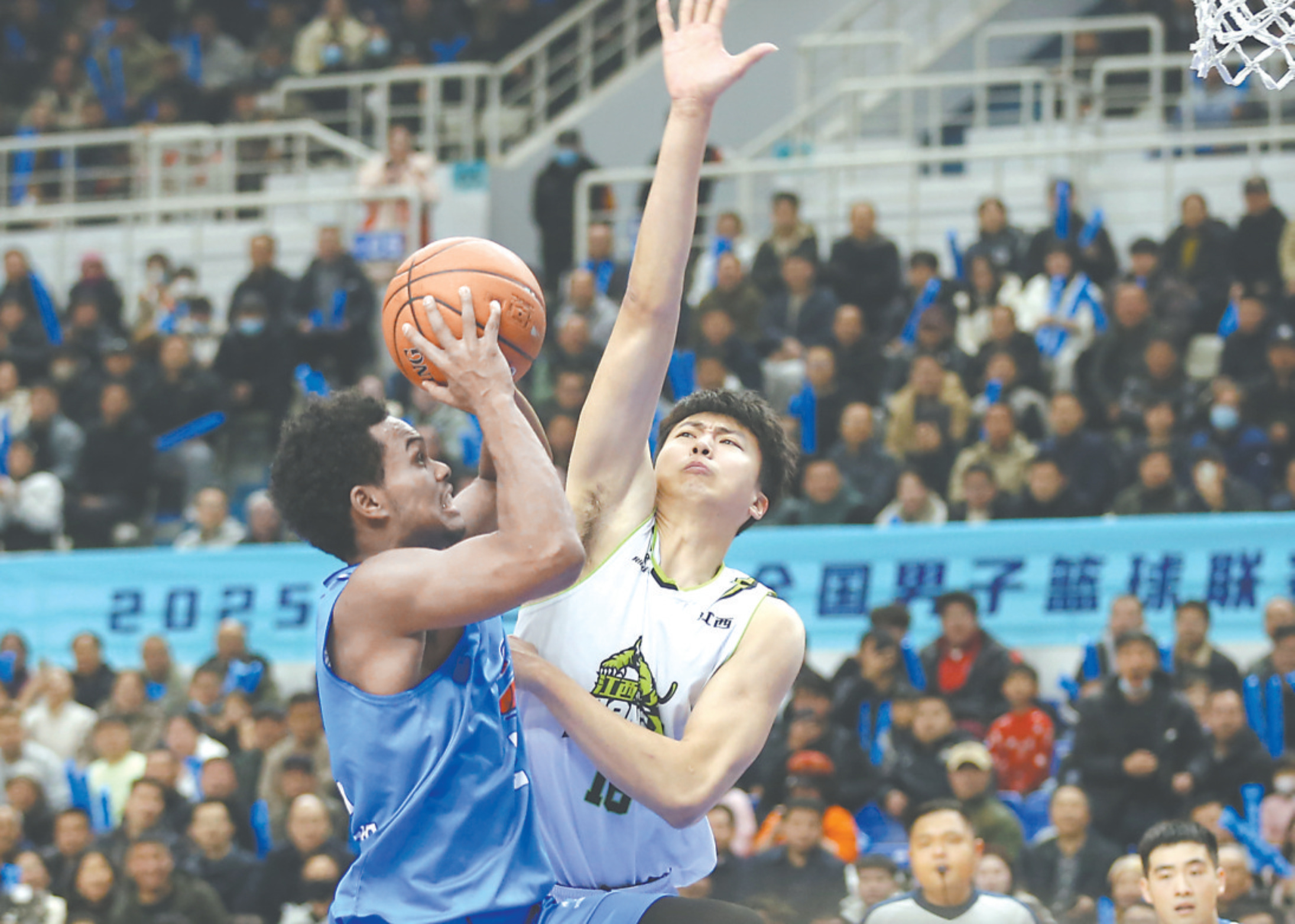 今晚热血继续：焦作文旅PK 香港金牛！球迷福利多多！