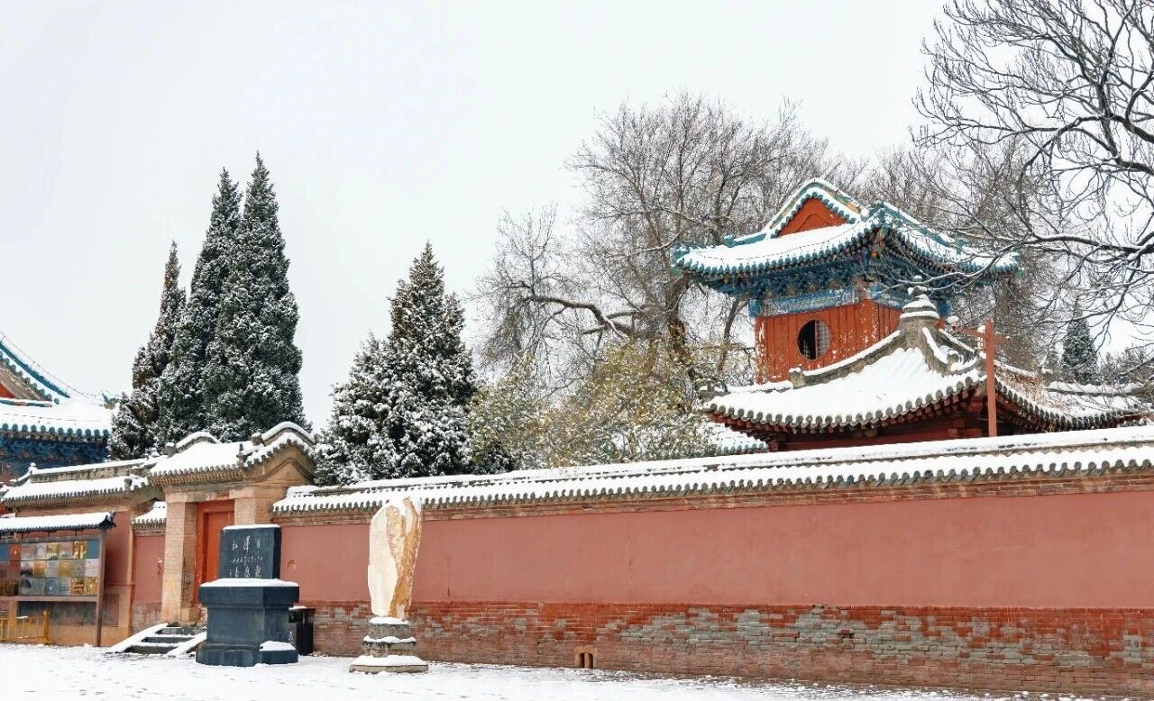 绝美!来焦作嘉应观!看一场“故宫”的红墙白雪!