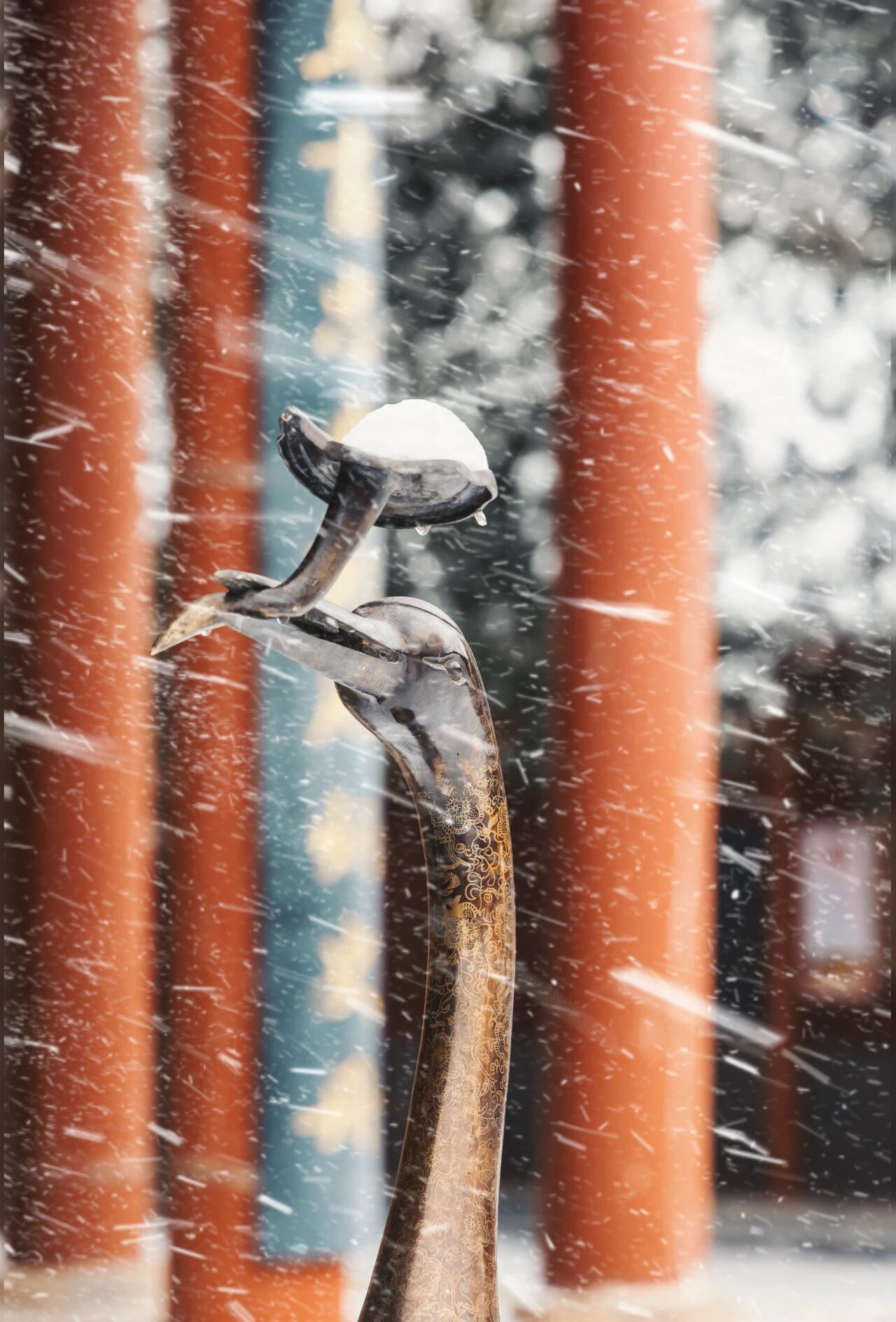 绝美!来焦作嘉应观!看一场“故宫”的红墙白雪!