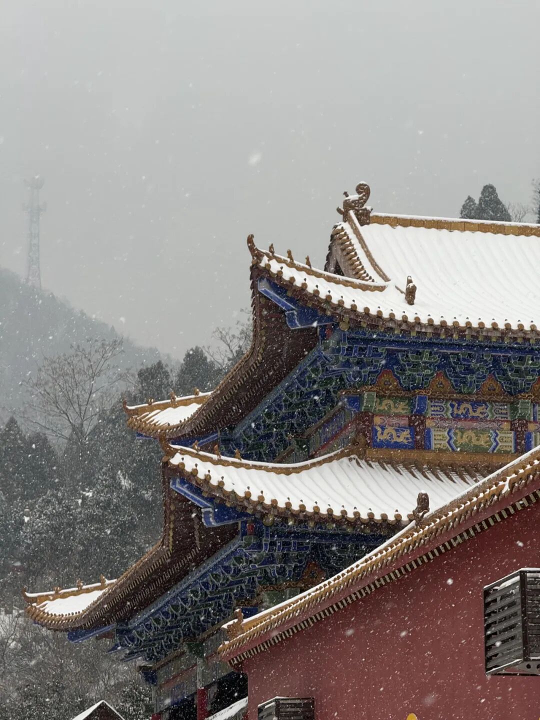 雪覆龙脊、一眼封神！现在去神农山正当时！