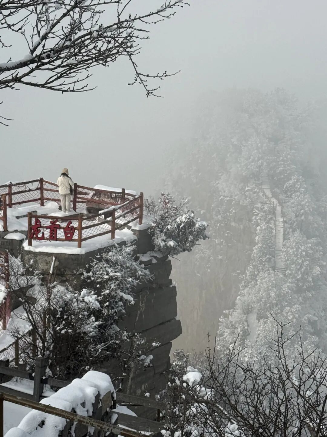 雪覆龙脊、一眼封神！现在去神农山正当时！