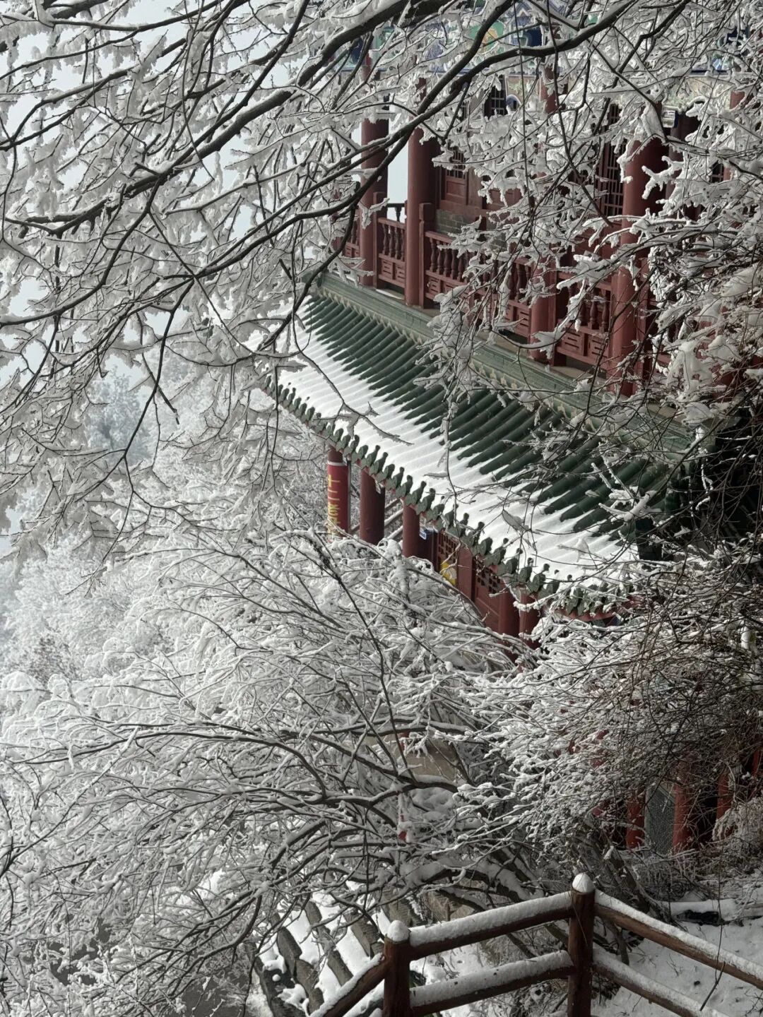 雪覆龙脊、一眼封神！现在去神农山正当时！