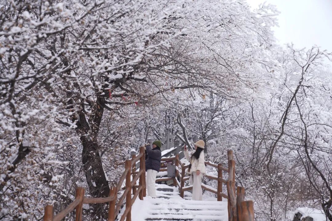 雪覆龙脊、一眼封神！现在去神农山正当时！