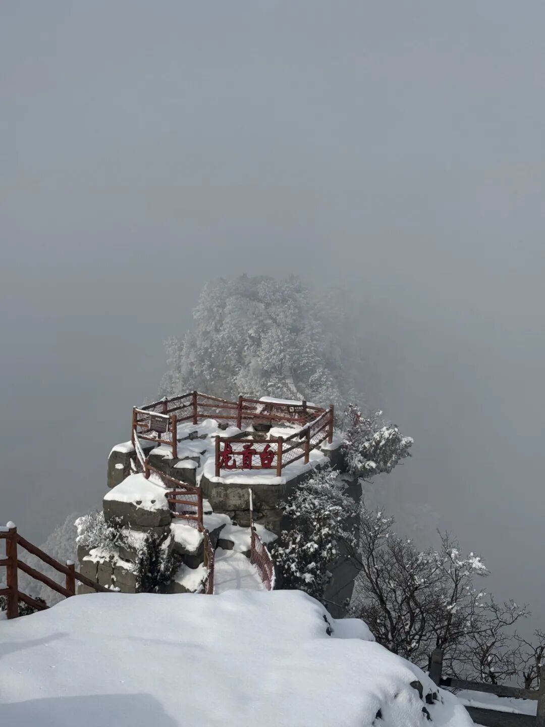 雪覆龙脊、一眼封神！现在去神农山正当时！