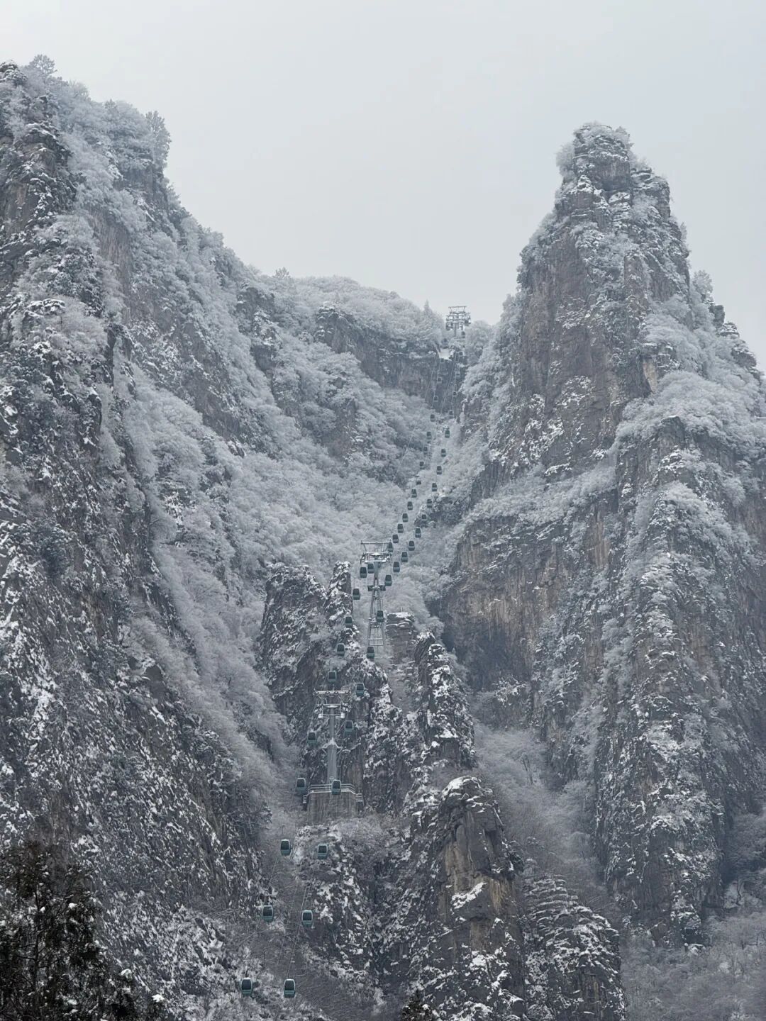 雪覆龙脊、一眼封神！现在去神农山正当时！
