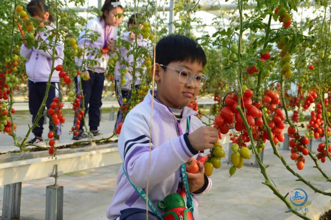 焦作过年·趣游马村丨年味打包！快来解锁宝藏马村！