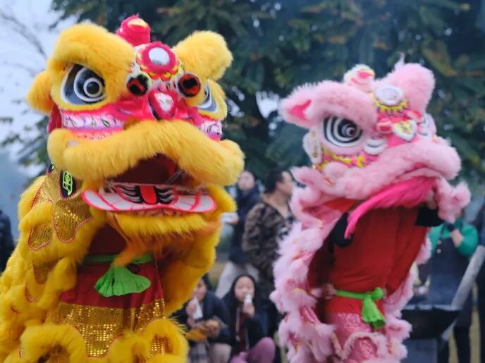 速抢！19.9元神农山春节早鸟票上线！