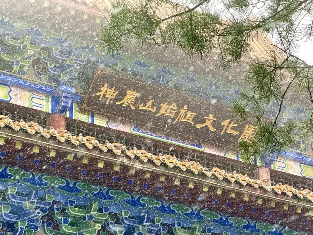 速抢！19.9元神农山春节早鸟票上线！