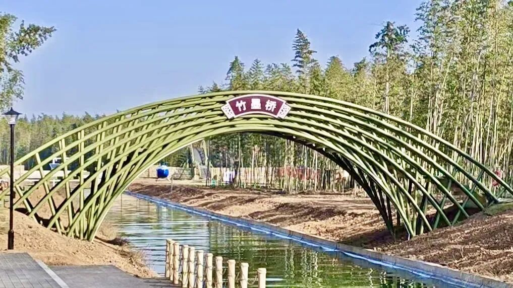 开园即爆红！博爱竹浪岛春节人气值拉满！