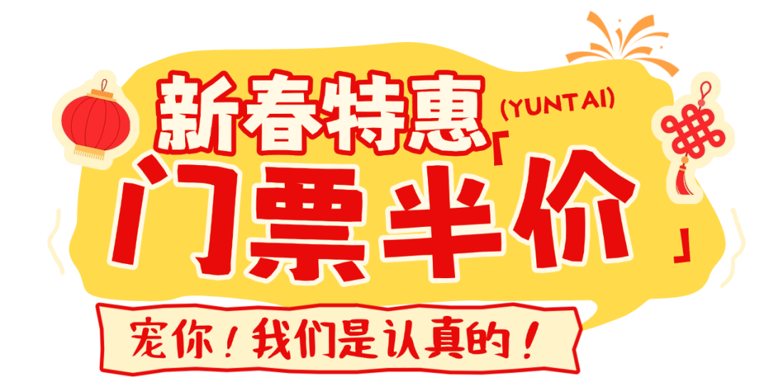 千根甘蔗万份发糕免费送！央视点赞云台山春节有滋有味！