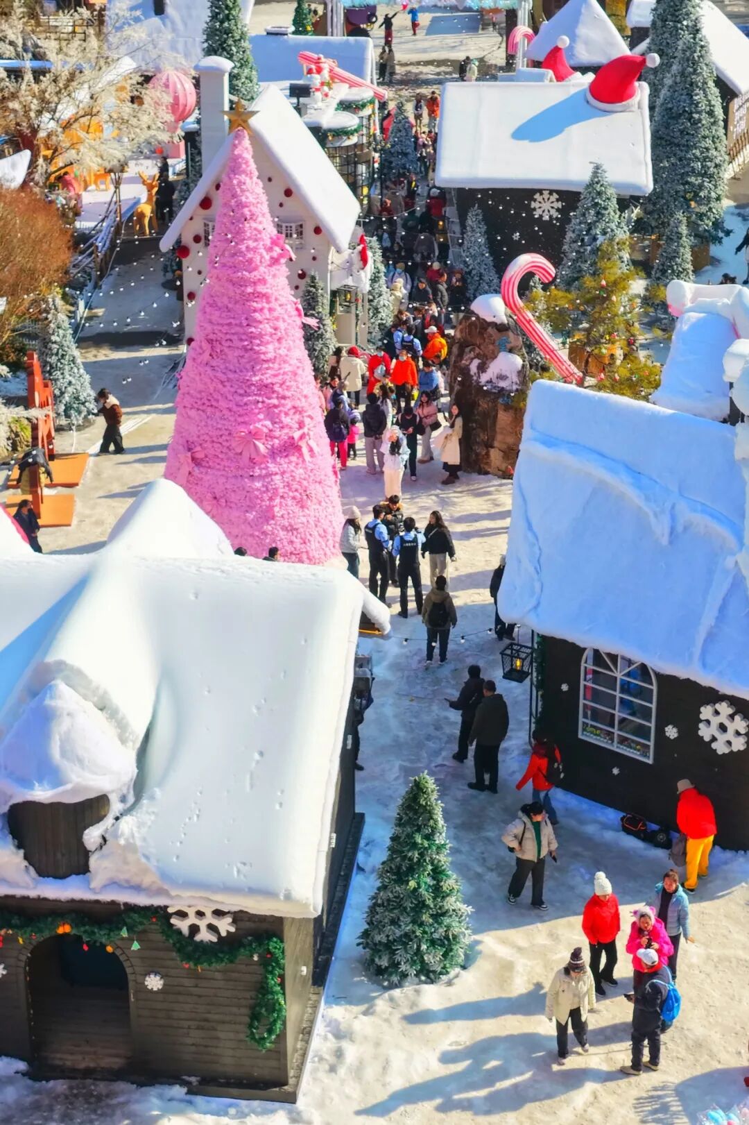 看！焦作年味溢出了镜头——