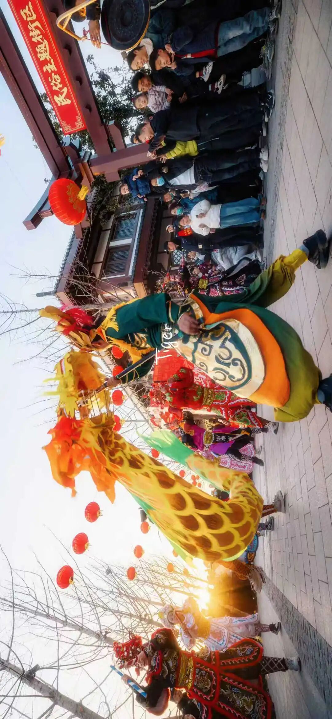 看！焦作年味溢出了镜头——