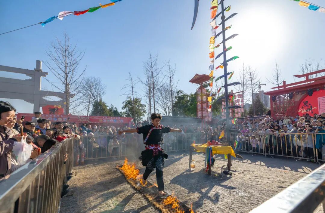 看！焦作年味溢出了镜头——