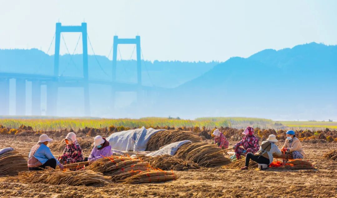 看！焦作年味溢出了镜头——