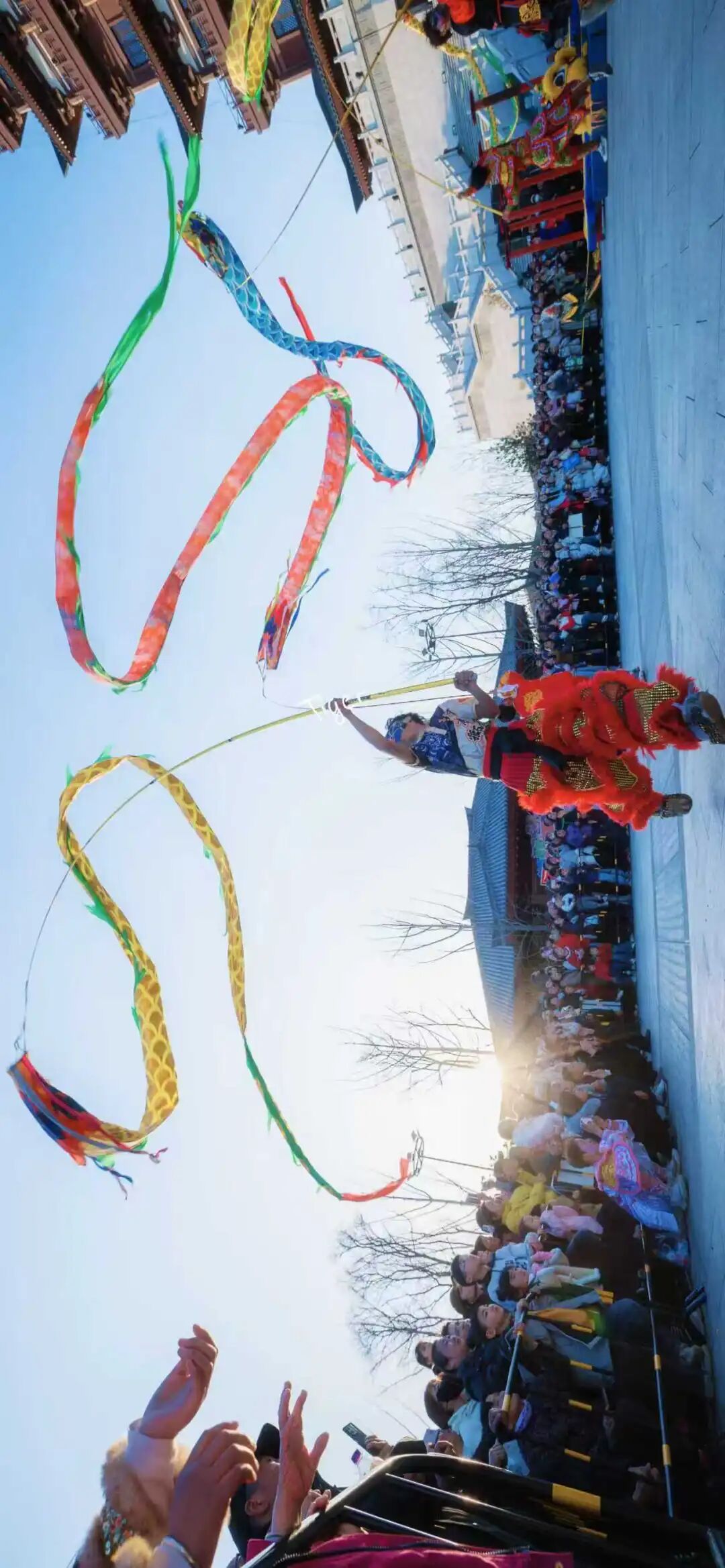 看！焦作年味溢出了镜头——