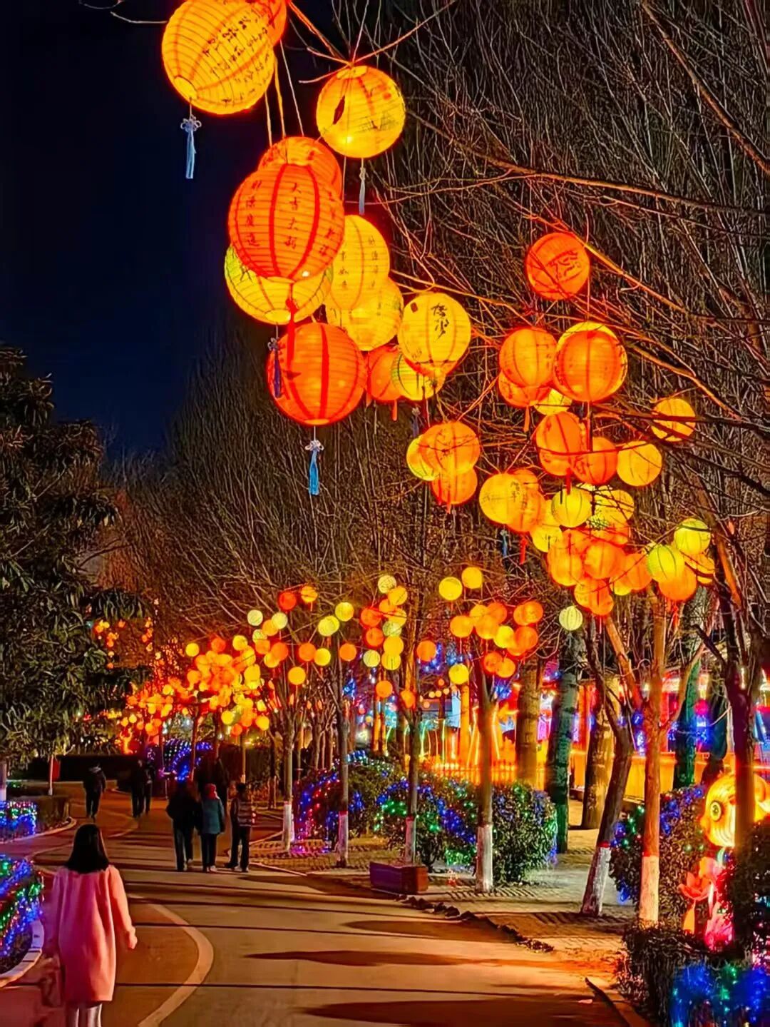 马戏灯展美食！来焦作森林动物园玩过瘾！