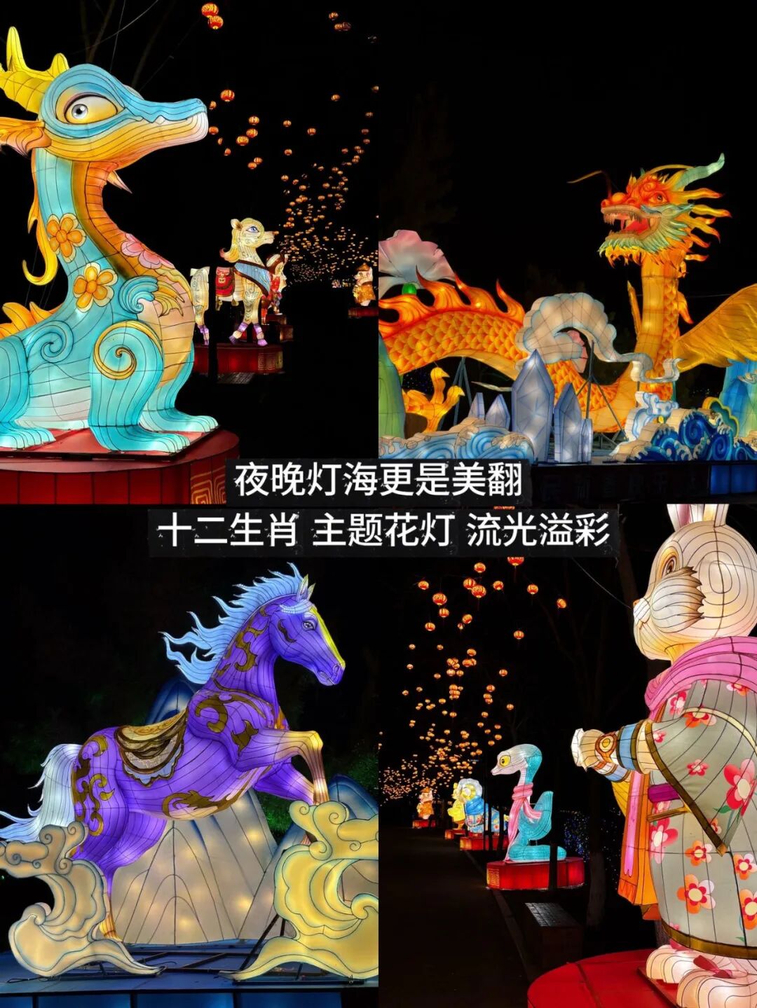 马戏灯展美食！来焦作森林动物园玩过瘾！