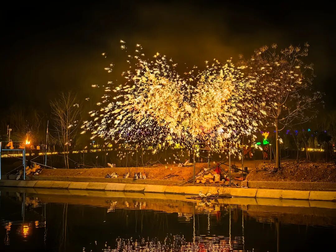 马戏灯展美食！来焦作森林动物园玩过瘾！