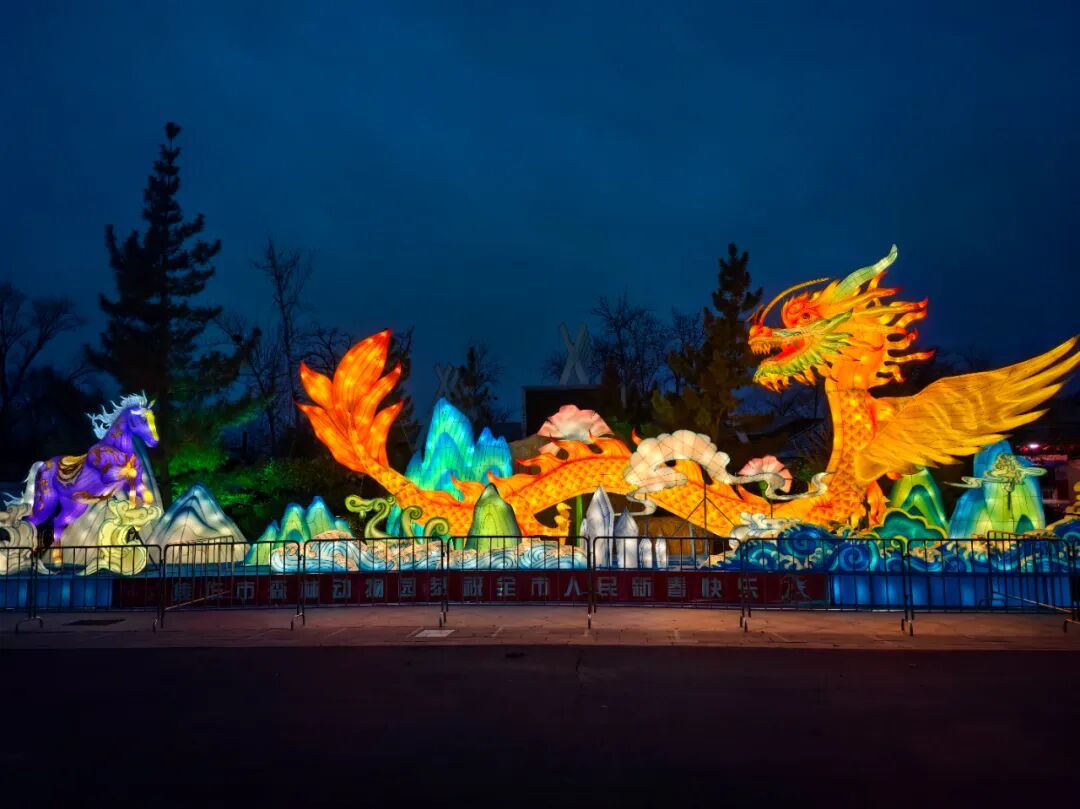 马戏灯展美食！来焦作森林动物园玩过瘾！