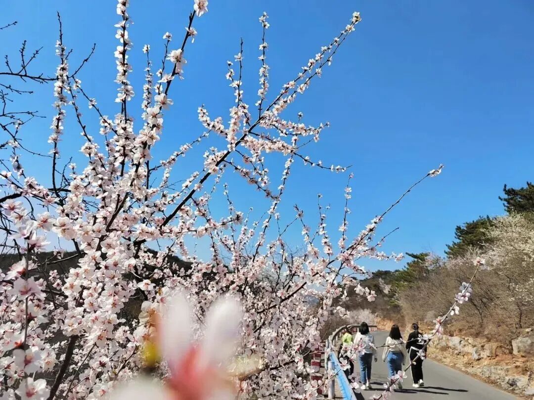 3月1日起，青天河对全国游客免门票！